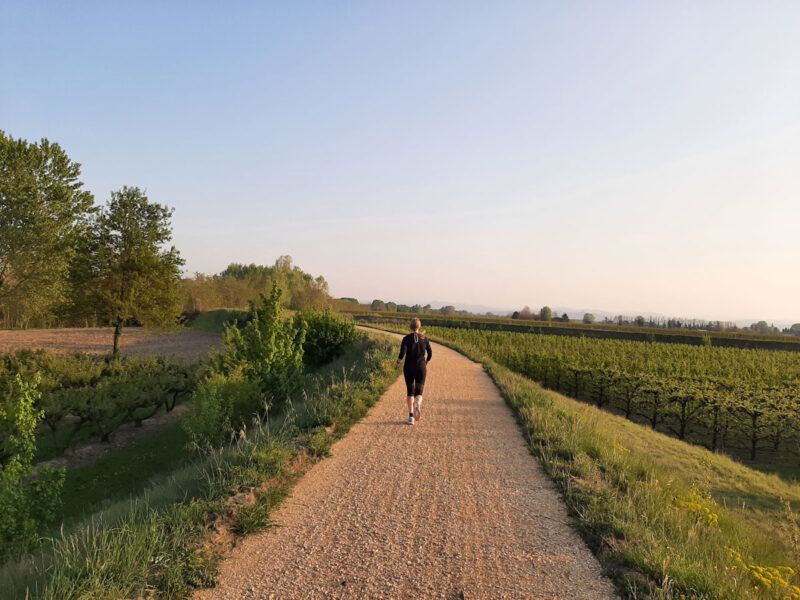 Ciclabile-Santerno-a-Mordano