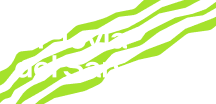 Ciclovia del Santerno Logo